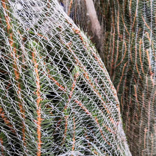 Bio-Netting – The Christmas Cabin